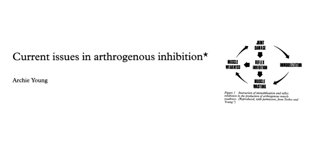 Current issues in arthrogenous inhibition Mainstay Medical Australia
