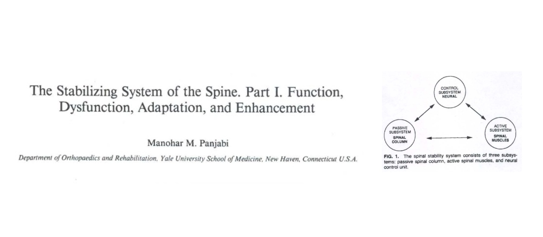 The stabilizing system of the spine Part 1 Function, dysfunction, adaption, and enhancement Mainstay Medical Australia
