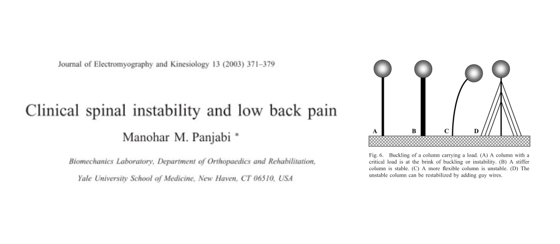 Clinical spinal instability and low back pain Mainstay Medical Australia