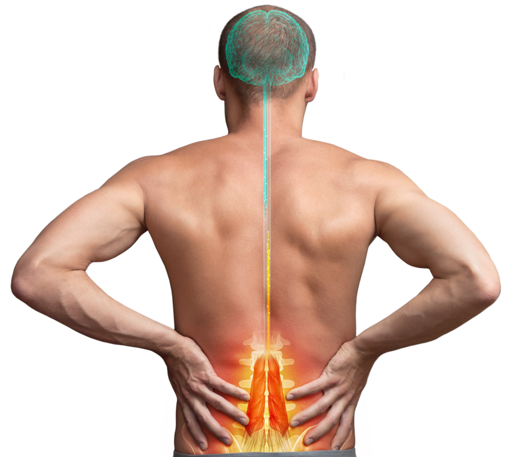 ReActiv8 Physician Information Mainstay Medical Australia