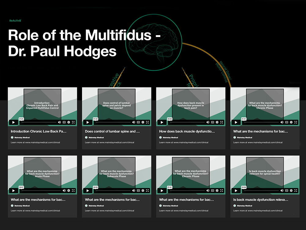 The Role of Multifidus Dr Paul Hodges Mainstay Medical Australia